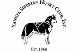 Yankee Siberian Husky Club